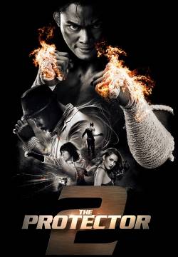 The Protector 2 (2013)