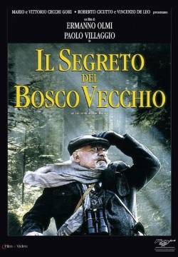 Il segreto del bosco vecchio (1993)